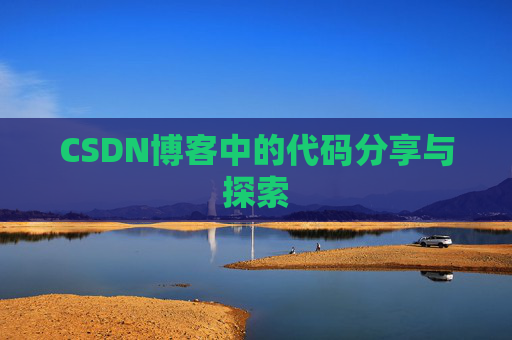 CSDN博客中的代码分享与探索